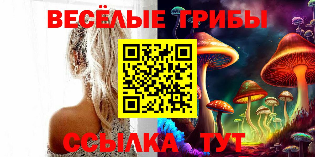 Ессентуки  даркнет сайт  Вход с VPN  Псилоцибиновые грибы Psilocybe 