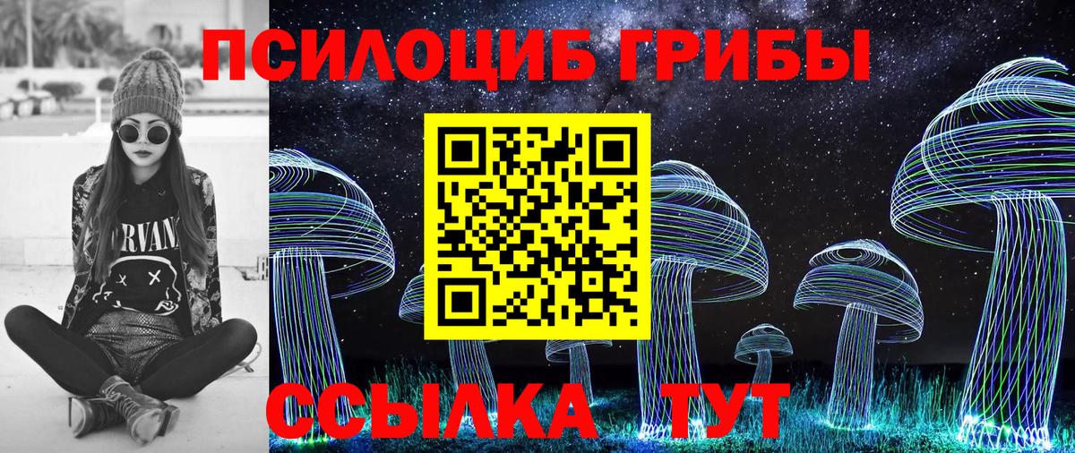 Псилоцибиновые грибы прущие грибы Ессентуки