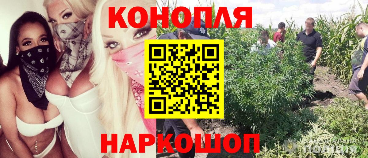 МАРИХУАНА семена Ессентуки